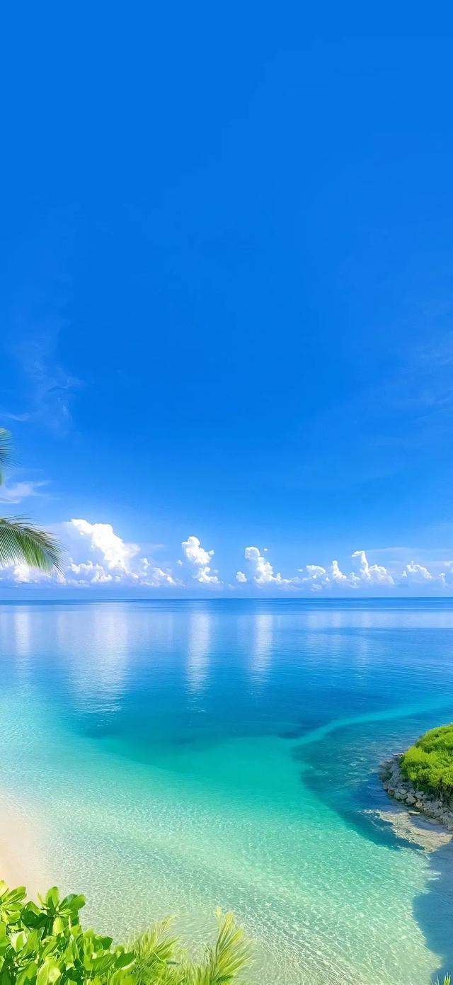 手机壁纸|夏日
