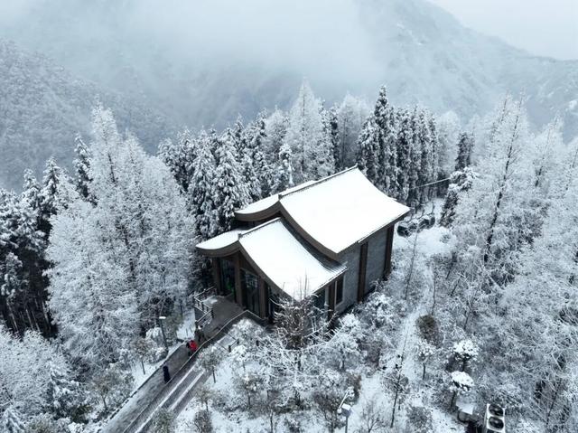 成都的初雪已上线！快来赴一场冬日浪漫之约
