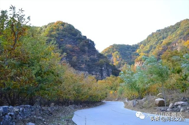 云峰溪谷氧生地，龙脉太宗天子山