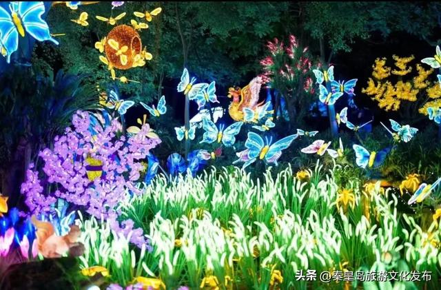 千灯之夜·梦幻园博！秦皇岛园博园多重演绎上新~
