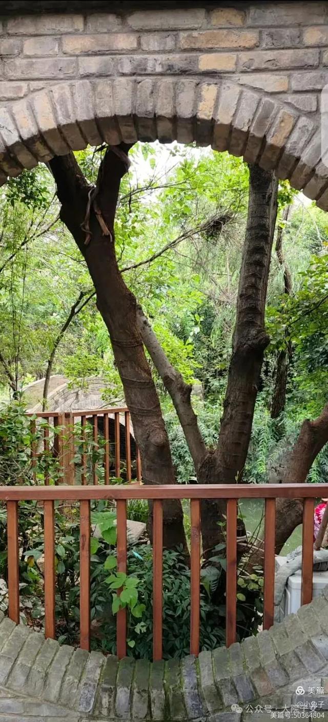 黎如芷|一园藏尽徽州魂,刘园古徽州文化园