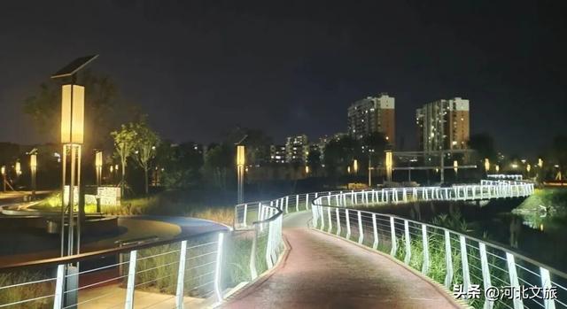 实拍!秦皇岛家门口的免费好去处,这个百亩湿地公园晚上也能逛~