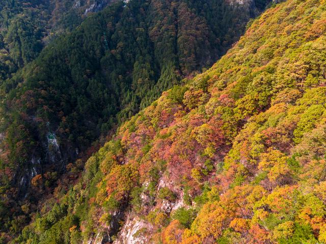 别被明堂山名字骗了！汉武帝选的“祭天宝地”居然藏着这样的秘境