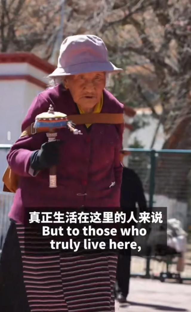 雪域长歌：六十年家国书简
