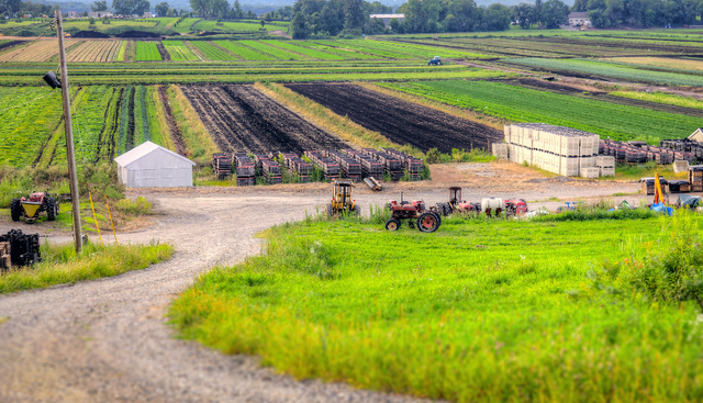 中方拒不接受！美方索赔1700亿，美法院：考虑没收中方在美资产