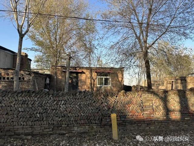 冠县乡韵·贾镇荆楼村