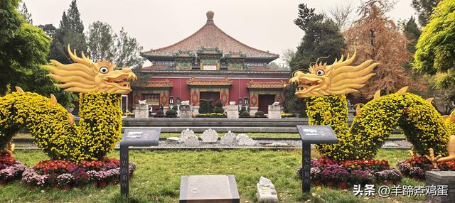 秋风独宠一园菊，晚来香艳出樊篱——北京北海公园2025年菊花展