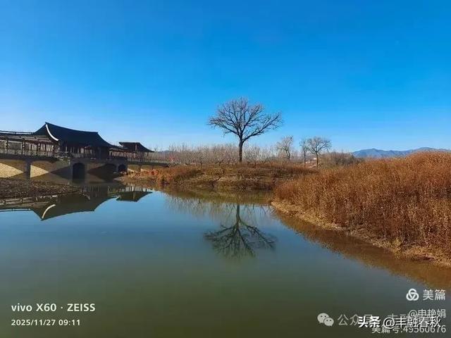 初冬北京玉河湿地公园游记|申艳娟