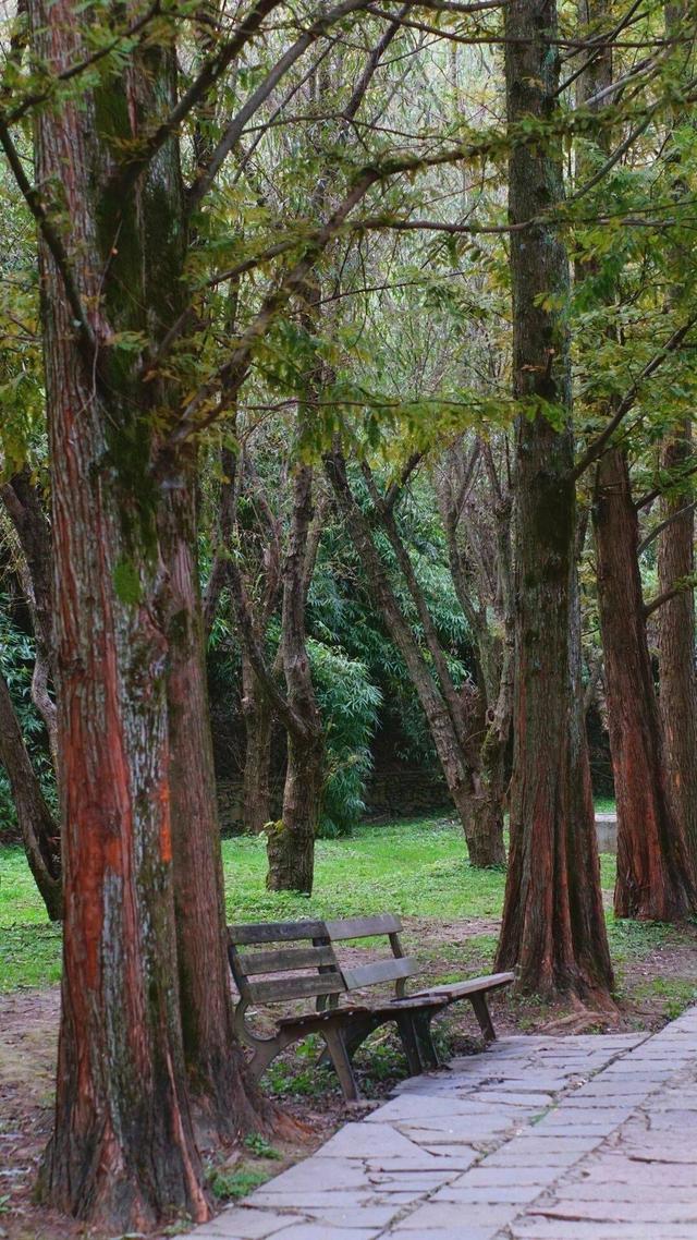 14个免费公园遛娃全攻略：看猴、玩水、露营、徒步一次集齐！速藏