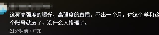 网红羊后续：身价涨三十万，真相揭秘不出所料，小羊可能保不住了
