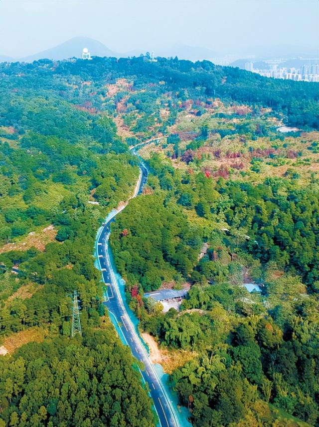 假期出游还要“卷”？建议来韶关神仙山林“森呼吸”