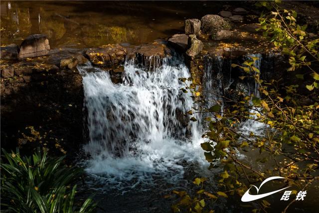 金叶映古驿!妥乐千年诗意,此刻正当赴