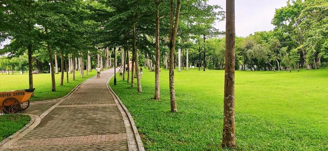 深圳最值得去的6个公园推荐！全部免费，地铁直达，好玩又好拍！