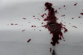 19世纪英国悬案：开膛手杰克的恐怖谋杀图片