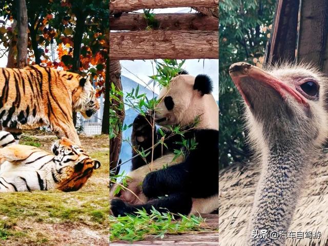 安徽宿州3天2晚自驾，符离大道的皖北多维风情之旅｜附路书及地图