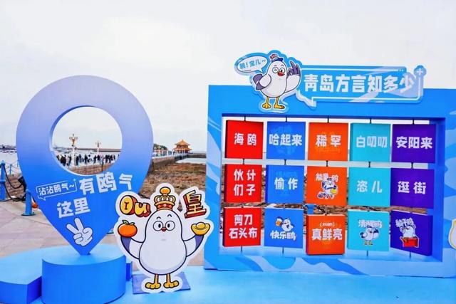 “鸥遇！鸥遇！”海鸥季潍坊启航派对，优惠惊喜等你来逛~