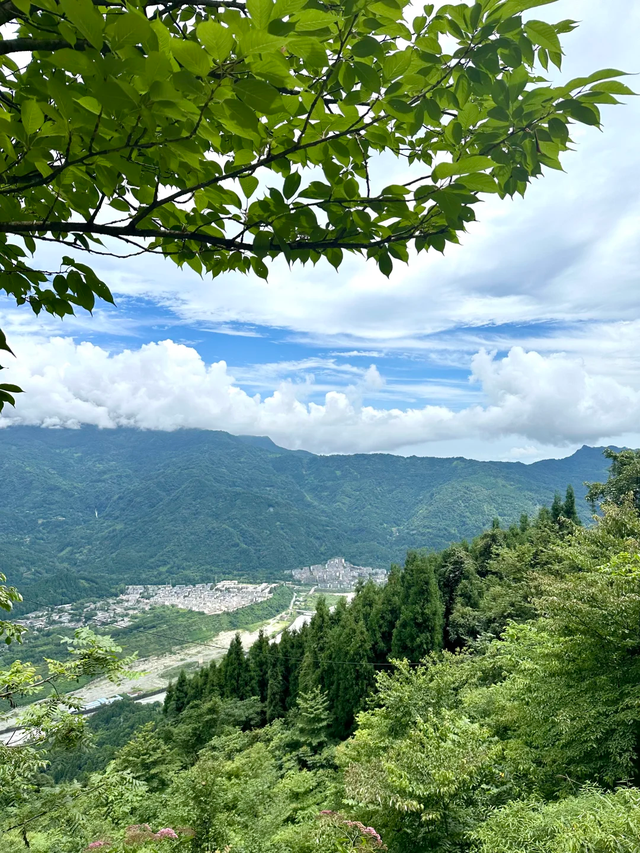 成都1.5h || 25℃天然空调+徒步避暑，这个地方带娃遛狗太绝了！