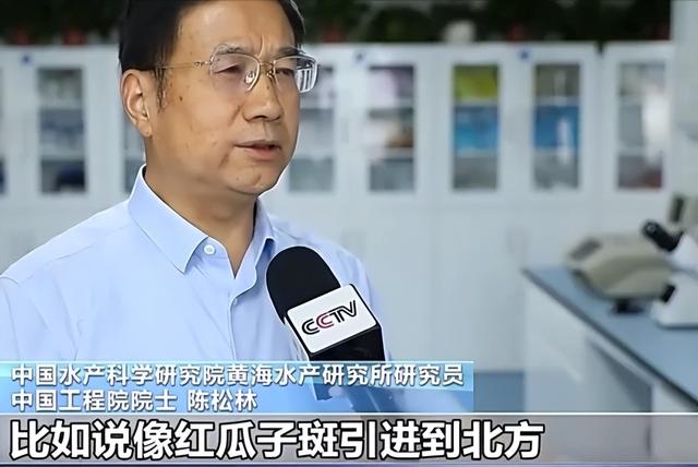大国重器！沙海粮仓之后再现海上粮仓，15万吨级国字号重器成关键
