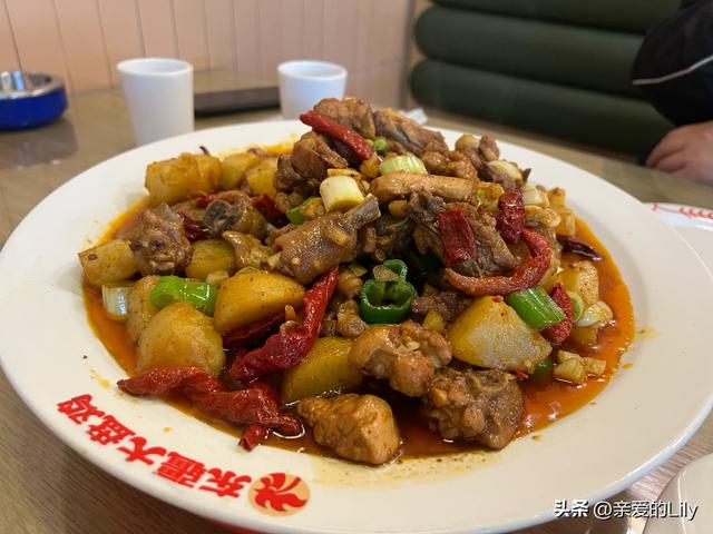 215公里五菱宏光mini电车，一个人自驾游新疆4个月，要花多少钱？