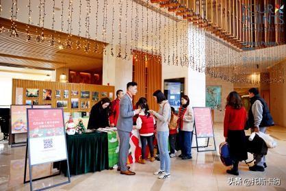 “爪爪心愿·暖冬童话夜”圣诞亮灯温情启幕萌宠与爱共绘冬日美好