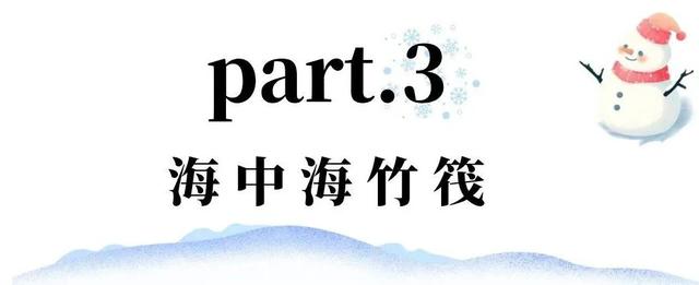 冬日竹海，限时特惠！淡季门票+超值年卡，承包一整年的美景