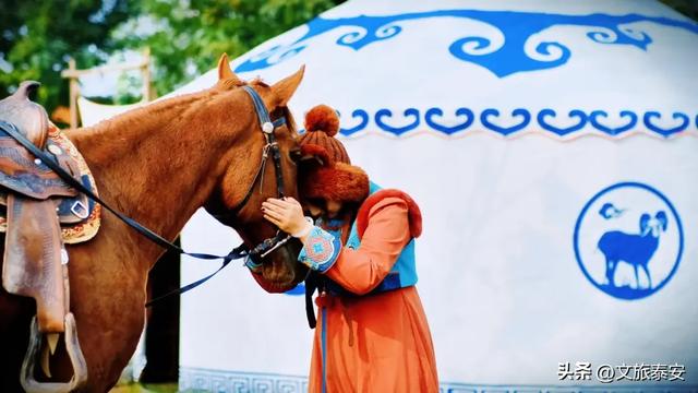 -10°C也拦不住！被窝里哪有马背上潇洒？小泰成功解锁泰安冬季最野玩法！