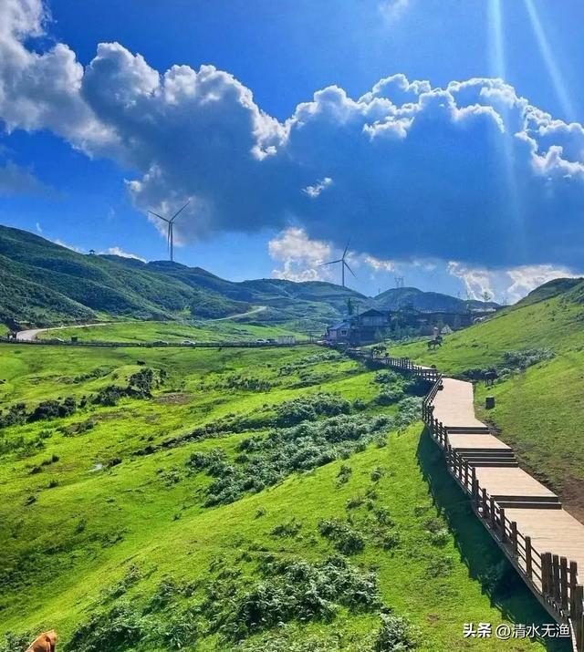 贵州只有这几个地方是凉快的，避暑90%的人去错了！