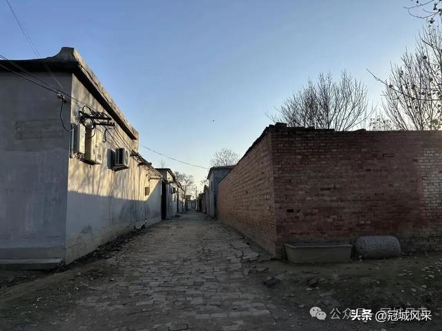 冠县乡韵·贾镇荆楼村