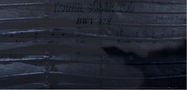 《狂野时代》,到底在讲什么?|挑战全网最深度解读