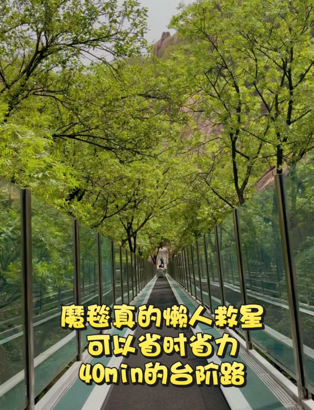 河南不宣传这座山真糊涂啊！比老君山有历史，没这座山就没西游记