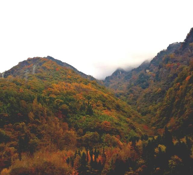 层林尽染看平武