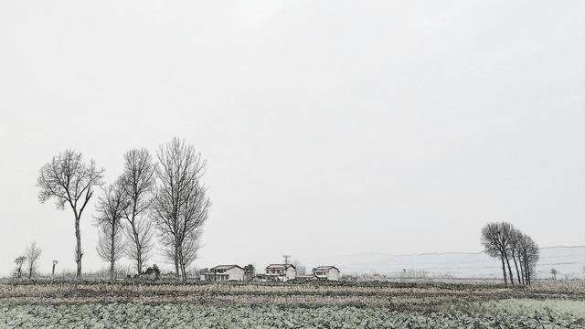 《安妮走四方》读书笔记