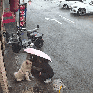 远离禽兽