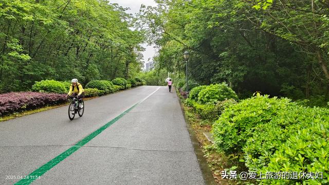 出游第7站-岳阳：因去的不是时候,愉悦与失落参半,岳阳楼值得登吗
