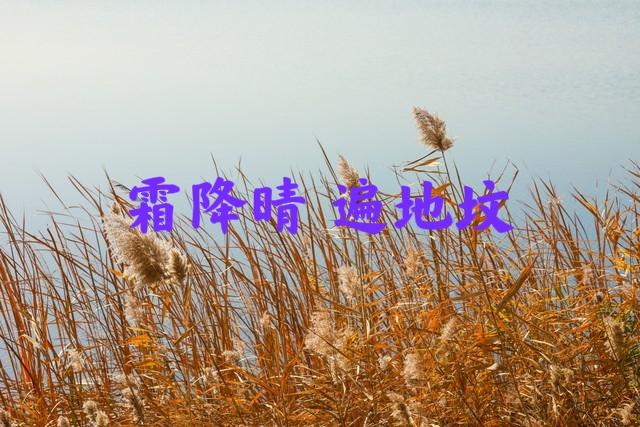 11点51分霜降，老话“霜降晴，遍地坟”，霜降晴天有啥预兆？