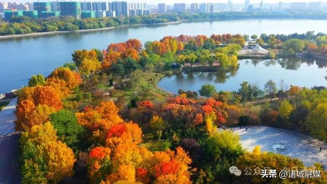 诸城秋浓,如诗如画!