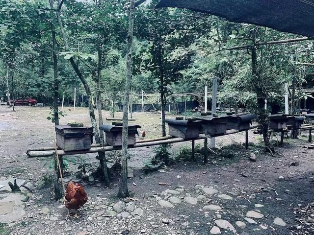 大邑雾山耍两天