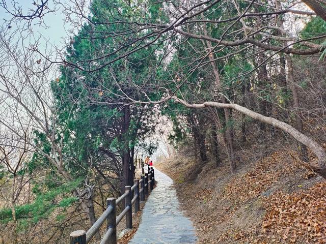 法海寺旅游休闲步道——冬日里的治愈系漫步