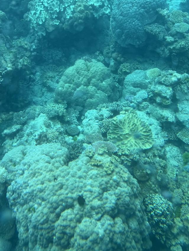 澳大利亚22日世界文化遗产与自然之旅游记+攻略