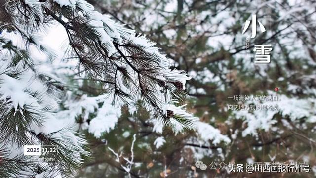 小雪至！五台山向你寄来一组冬日明信片