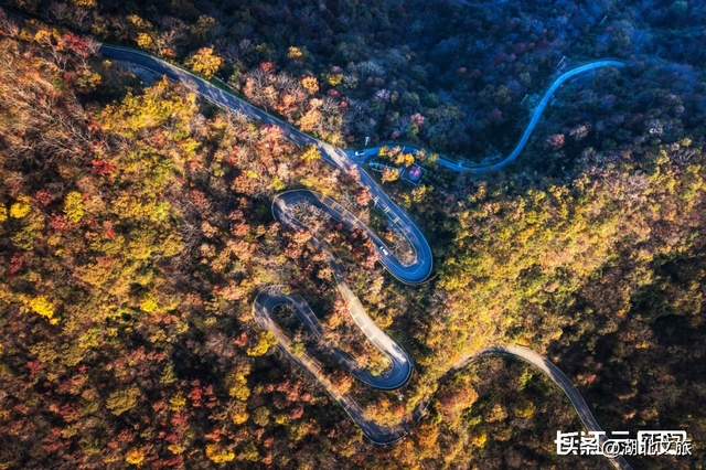 评分秋色：随州为啥被称为“杏”运城市？