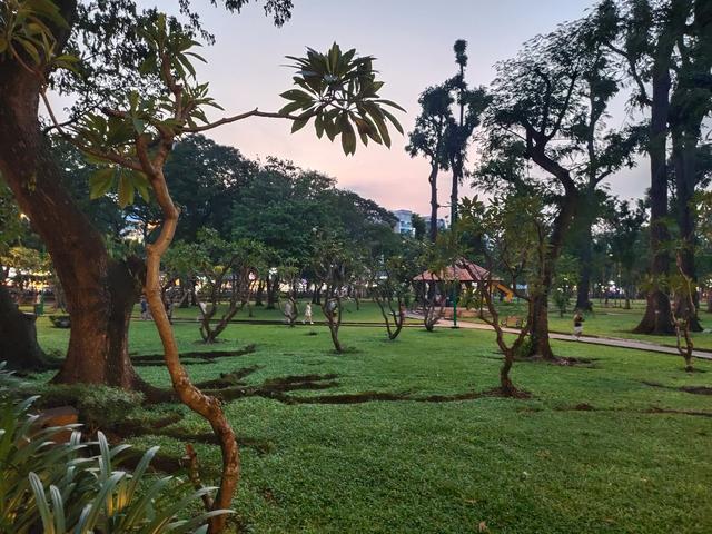 越南胡志明市的街心公园，法国殖民期间的城市规划了大片的绿地