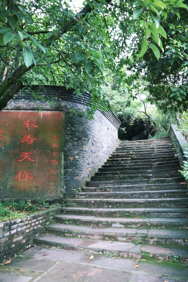 公交可达！实测初秋成都小众徒步线路，溜娃采摘逛老街！