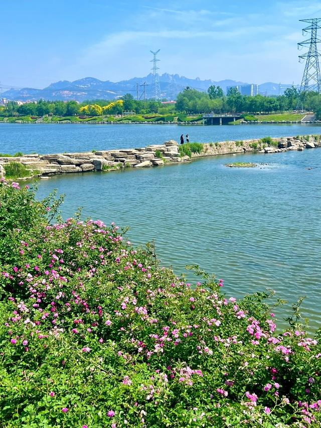 青岛下一个主城或将诞生？不是莱西、平度，堪称最具黑马相的城区