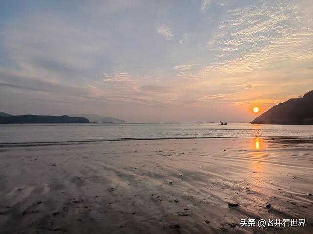 醉在桃花岛 文‖井明新