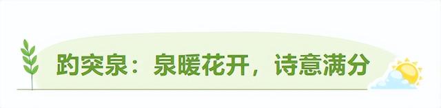 济南的春天，从一抹金黄开始！