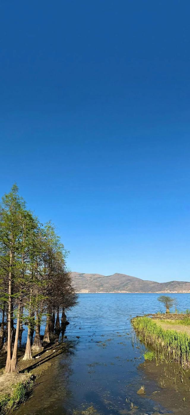手机壁纸|清新的自然美景，风光无限