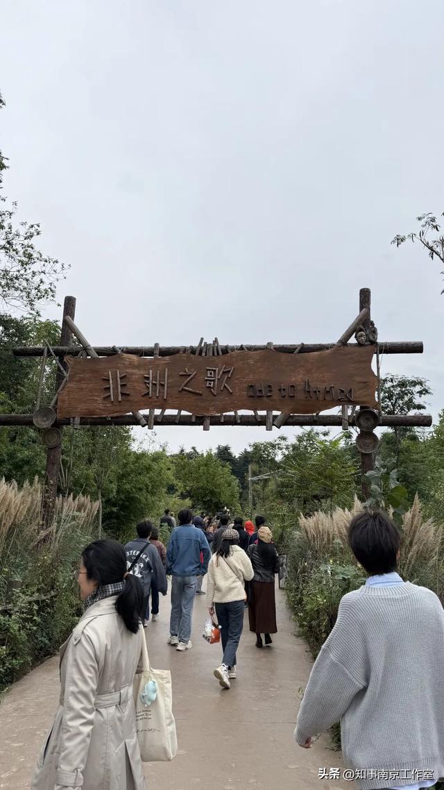 降温天逛红山动物园有多爽？