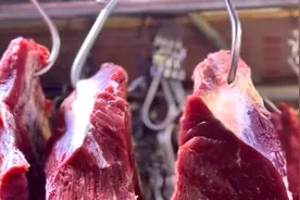 苏州疾控提醒：生食牛肉或致牛带绦虫感染图片