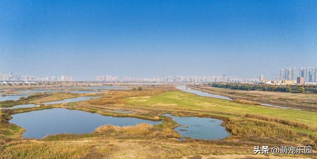 晨光轻抚江面，武汉苏醒时，我被这暖冬诗意震撼了